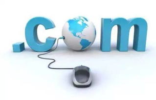 浙江互聯(lián)網(wǎng)信息服務(wù) 以數(shù)字化改革深化政務(wù)服務(wù)，精準(zhǔn)利企便民